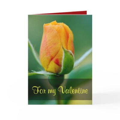 Let us Love by action not just word 1 John 3:18 Cards