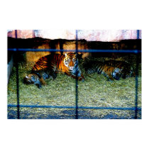 Let Us Out! posters by epclarke Let Us Out! posters