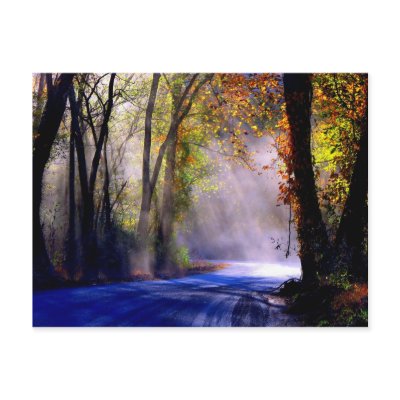 Let Your Light Shine Post Card by NatureGreetings