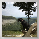 Letchworth State Park posters