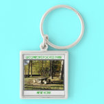 Letchworth State Park - Tea Table Rock keychains