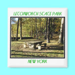 Letchworth State Park - Tea Table Rock magnets