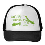 Lets Be Friends Hat