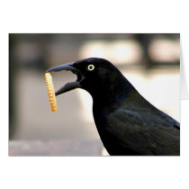 Let's do lunch card