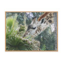 Let's Do Lunch Sometime! postcards by minx267 Let's Do Lunch Sometime! postcards