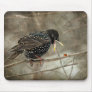 "Let's Do Lunch!!" Starling and LadyBug - Mousepad