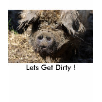 Lets Get Dirty ! t-shirts