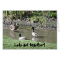 Lets get together! cards