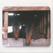Lets go for a Ride! mousepads