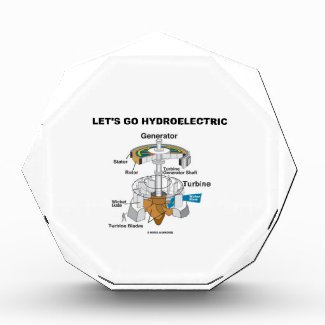 Let's Go Hydroelectric (Generator Turbine) Award