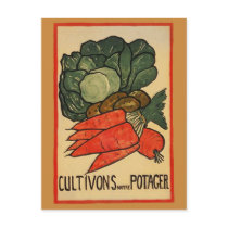Let's Grow a Vegetable Garden Postcard