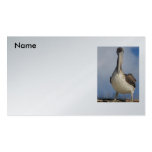 Let's Hook Up_ Profile Card_by Elenne Boothe Business Cards