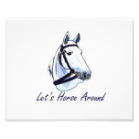 Lets Horse Around Arabian Blue Halter Photo Art