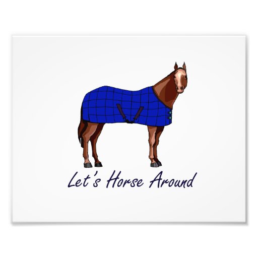 Lets Horse Around Brown w Blue Blanket Photograph