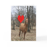 Lets Horse Around Valentine Cards