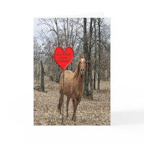 Lets Horse Around Valentine Cards