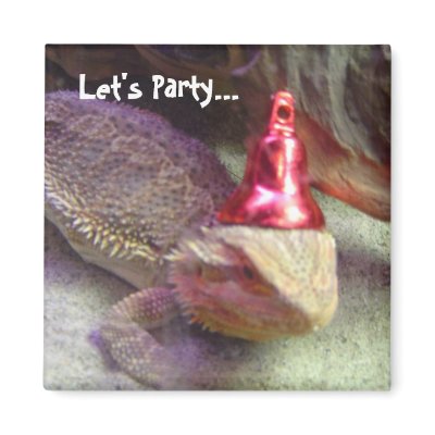 Let's Party... Refrigerator Magnet by seashell2
