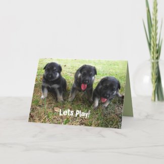 Lets Play! German Shepherd Puppy Greeting Card card