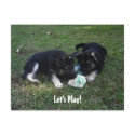 Let's Play! German Shepherd Puppy Postcard