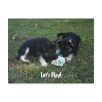 Let's Play! German Shepherd Puppy Postcard by KELLBELL535 Let's Play! German Shepherd Puppy Postcard