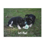 Let's Play! German Shepherd Puppy Postcard