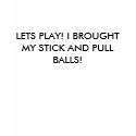 LETS PLAY! I BROUGHT MY STICK AND PULL BALLS! t-shirts by mattsapp LETS PLAY! I BROUGHT MY STICK AND PULL BALLS! t-shirts