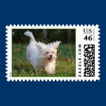 Let's Play! postage