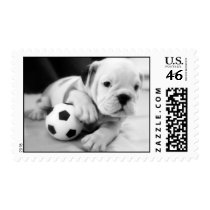 "Let's Play Soccer" English Bulldog Postage Stamp