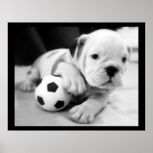"Let's Play Soccer" English Bulldog Posters