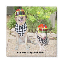 Let's rev it up and roll! magnets