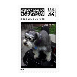 LET'S RIDE! postage