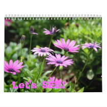Let's SEE! Wall Calendar