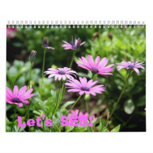 Let's SEE! Wall Calendar