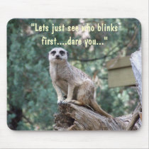 "Lets see who blinks first.." funny mousepad. by PhotoPixie "Lets see who blinks first.." funny mousepad.
