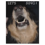 LET'S SING ! flyers