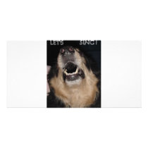 LET'S SING ! photo cards