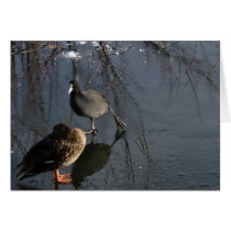 Let's Skate Greeting Card by loopylisa Let's Skate Greeting Card