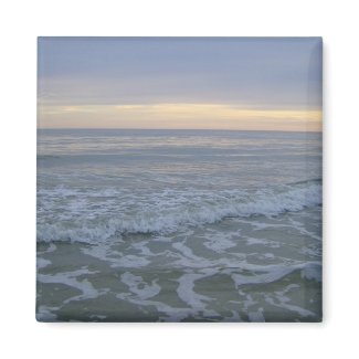 Lets Walk Along The Seacoast magnet