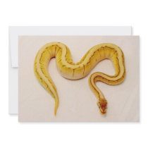 Letter "M" Yellow Ball Python Custom Announcement