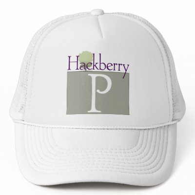 Letter P Hat by Chakham