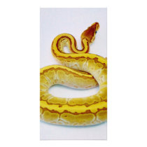 Letter "S" Yellow Ball Python Custom Photo Card