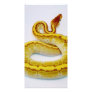 Letter "S" Yellow Ball Python Custom Photo Card