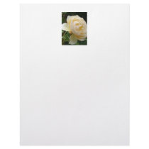 Letterhead - Beautiful Rose