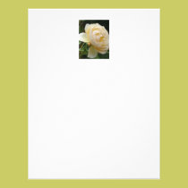 Letterhead - Beautiful Rose letterhead