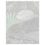 Letterhead Fern & Mushroom at Stump Letterhead