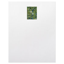 Letterhead - Water Lilies at Hopeland Gardens
