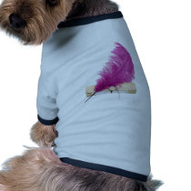 LettersToYou042310 pet clothing