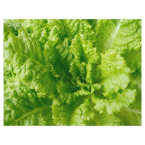 Lettuce Flyer Design