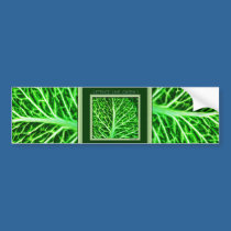 LETTUCE LIVE GREEN bumper stickers