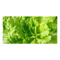 Lettuce Photo Card